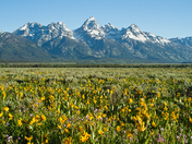 Grand Teton National Park