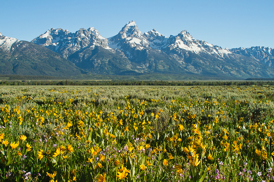 Grand Teton National Park