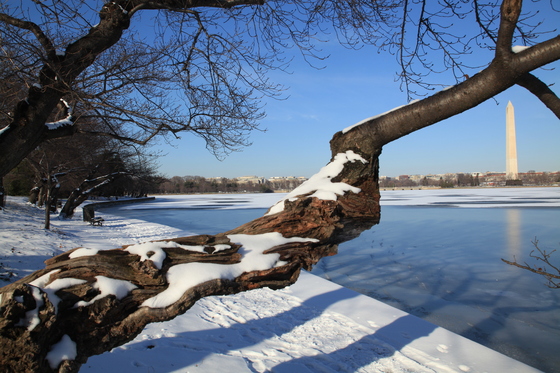 Washington Monument