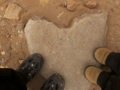 Capitol Reef National Park 
