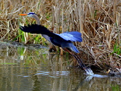 Cuyahoga National Park