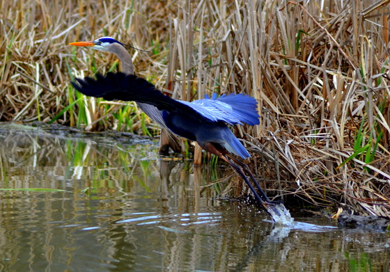 Cuyahoga National Park
