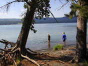 Yellowstone National Park