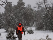 Kaibab National Forest Winter