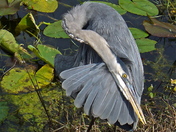 Everglades National Park