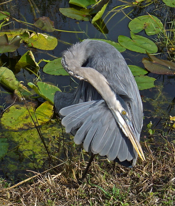 Everglades National Park