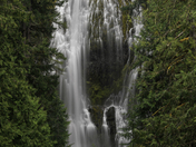 Willamette National Forest
