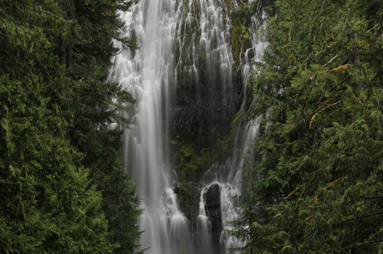 Willamette National Forest