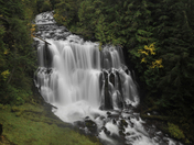 Willamette National Forest 
