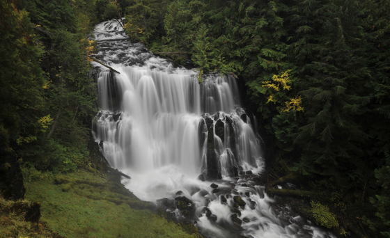 Willamette National Forest 