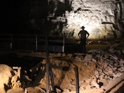 Mammoth Cave National Park