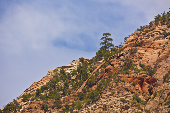 Zion National Park