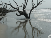 Cape Romain National Wildlife Refuge