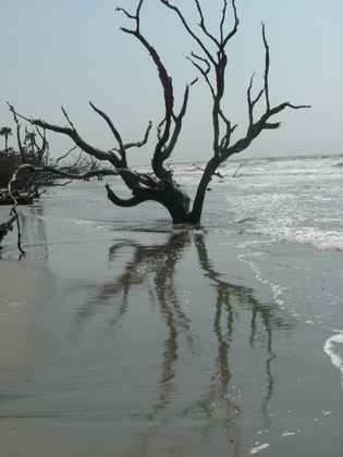 Cape Romain National Wildlife Refuge