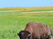 Wichita Mountain National Wildlife Refuge
