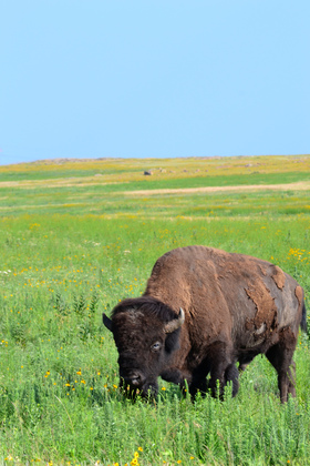 Wichita Mountain National Wildlife Refuge