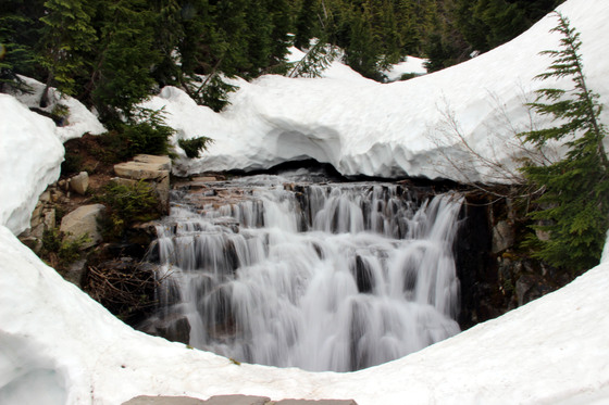 Mount Rainer National Park