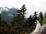Olympic National Park