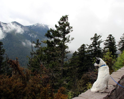 Olympic National Park