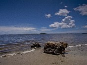 St. Marks National Wildlife Refuge
