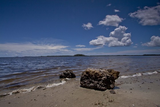 St. Marks National Wildlife Refuge