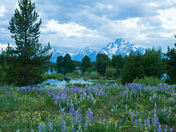 Grand Teton National Park