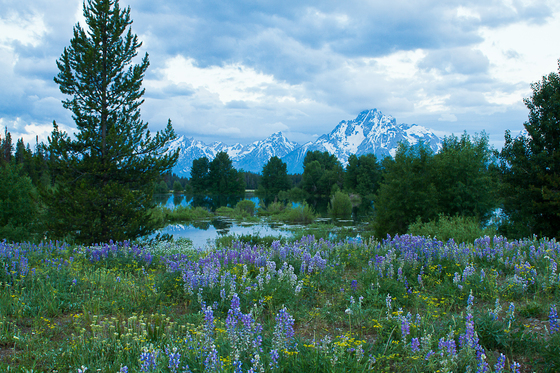 Grand Teton National Park