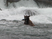Katmai National Park
