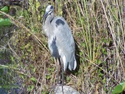 Everglades National Park