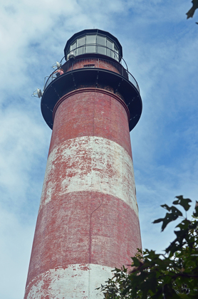 Chincoteague National Wildlife Refuge
