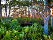 St Marks National Wildlife Refuge