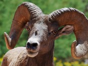 Dinosaur National Monument