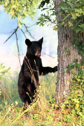 Great Smoky Mountains National Park