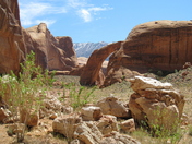 Rainbow Bridge National Monument