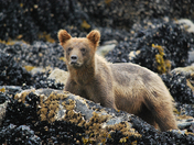 Glacier Bay National Park