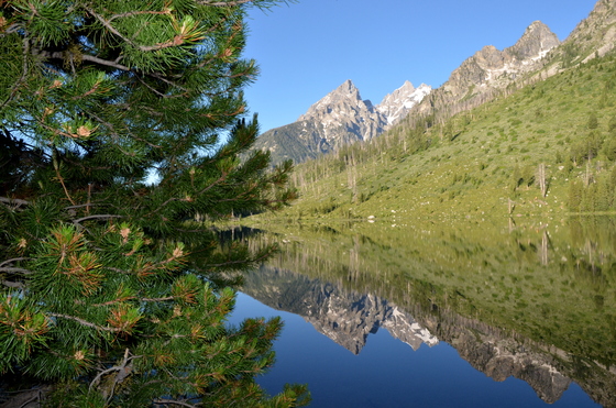 Grand Teton National Park
