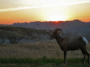 Badlands National Park