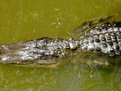 Everglades National Park