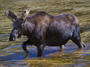 Rocky Mountain National Park