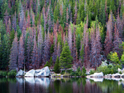 Rocky Mountain National Park