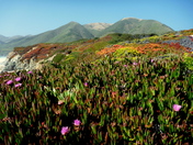 Los Padres National Forest, CA