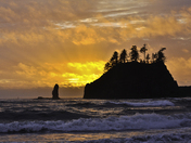 Olympic National Park