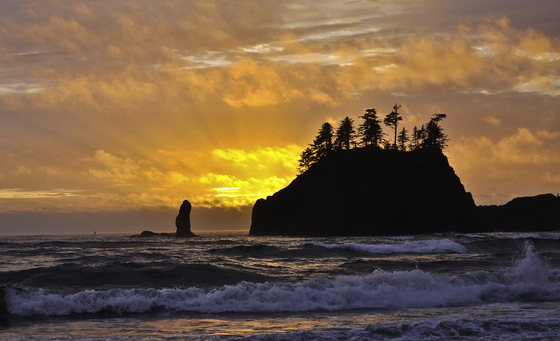 Olympic National Park