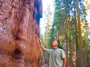 Sequoia National Park