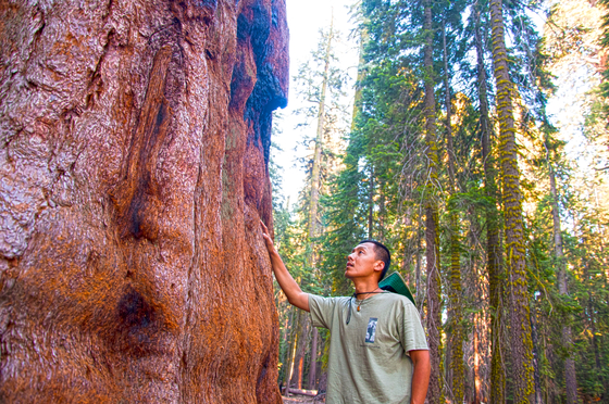 Sequoia National Park