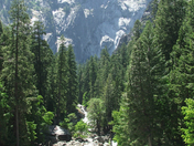 Yosemite National Park