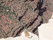 Grand Canyon National Park