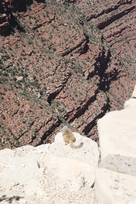 Grand Canyon National Park