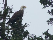 Acadia National Park