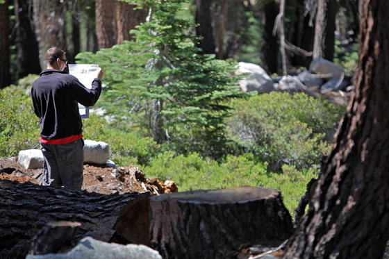 Yosemite National Park